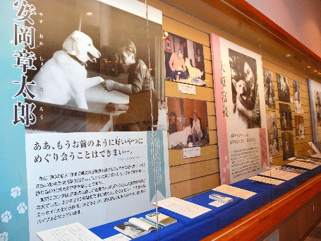 作家とペットのすてきな関係！　犬猫への深い愛と素顔を紹介