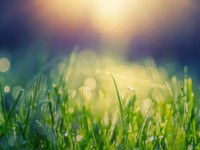 私達は日々様々なリスクに脅かされている。何でもない日常が一番大切