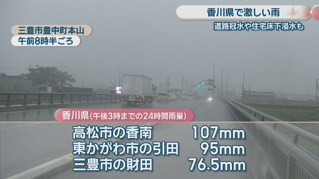 三豊市豊中町本山　午前8時半ごろ