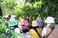 「京都御苑きのこ会」の観察会で、今日見られそうなキノコを紹介する世話役の佐野修司さん（中央）＝６月２２日、京都御苑