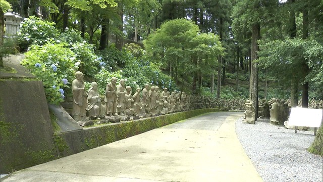 なんと見頃は8月中旬まで！標高900メートルのお寺でアジサイと五百羅漢が共演　四国霊場66番札所・雲辺寺