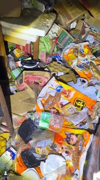 現場は、足の踏み場がないほどのゴミの量だった（「特定非営利活動法人DOG BASE」さん提供、Instagramよりキャプチャ撮影）