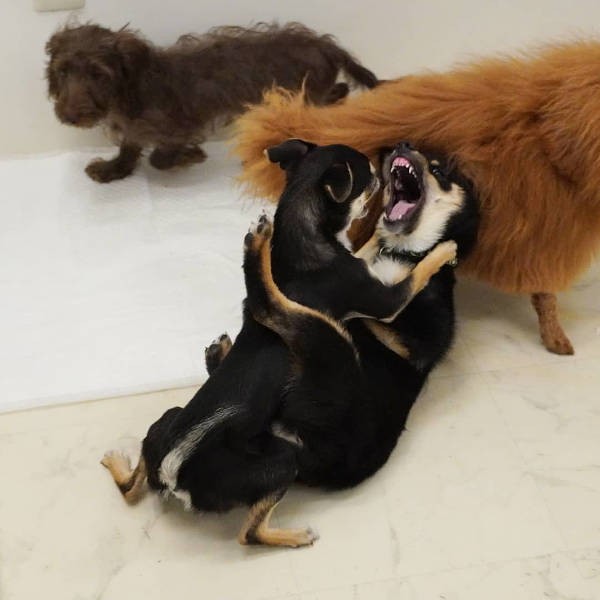 UGに通っては、仲間たちとの激しい遊びで発散（UG提供）