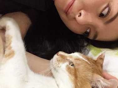 千葉で保護された中年猫　横浜で優しい“お姉さん”と熱愛中？！