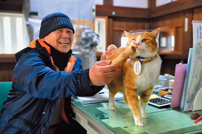 マタタビを嗜み、ハイになる