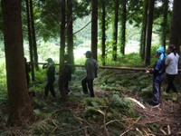  間垣に使う木材を地元の人の協力を得て山から切り出す学生たち（谷町撮影）
