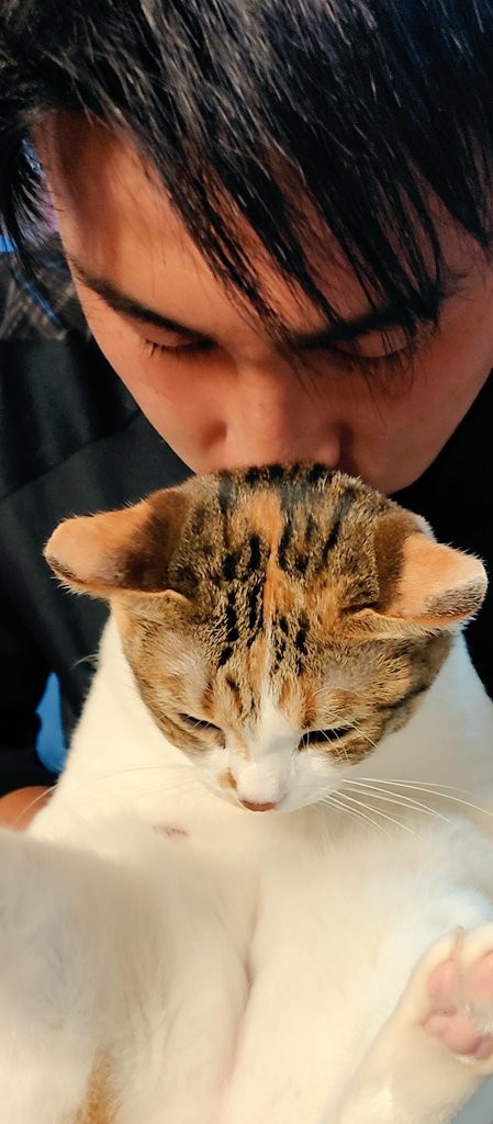 1匹ずつ後頭部を吸って、抱きしめたお兄ちゃん＝nyaokoさん（@naokowatanabe5）提供