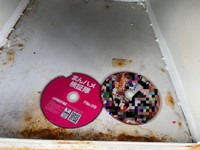 せいげつさんが以前見かけた白いポストの内容物（せいげつさん提供）