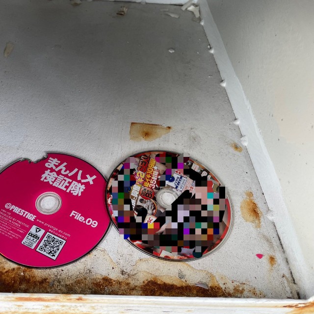 せいげつさんが以前見かけた白いポストの内容物（せいげつさん提供）