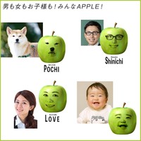 どういうことでしょうか（提供）