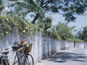 社会人なら「セクハラ」という犯罪。大学生なら「イジリ」になるの？