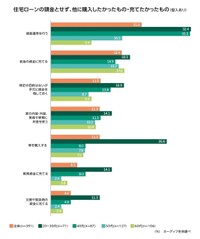 住宅ローンの頭金とせず、他に購入したかったもの・充てたかったもの（提供画像）
