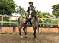 気分はさながらカウボーイ？