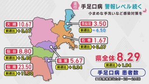 手足口病の患者数　宮城県で警報レベル続く