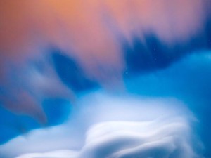 彼と男友達と会って「クロだろ。もう会うなよ」と言われた私の気持ち