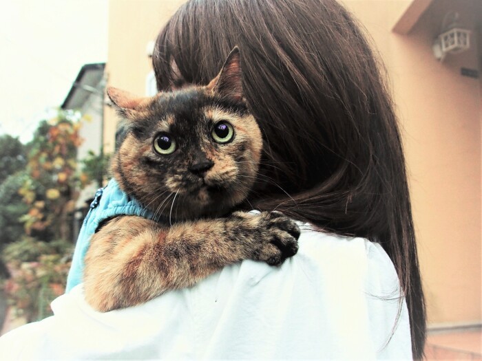 ゆかこさんに抱かれて玄関先に出る福ちゃん。瞳には、すみれ色の夕焼け空