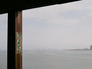 水族館でクジラと泳ぎたいという男の子の夢は、私の心を解かした