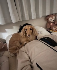 「昨晩のお手手ないない パパへの甘え方に容赦がない」というひと言とともに投稿された写真（画像提供：ちゃちゃさん）