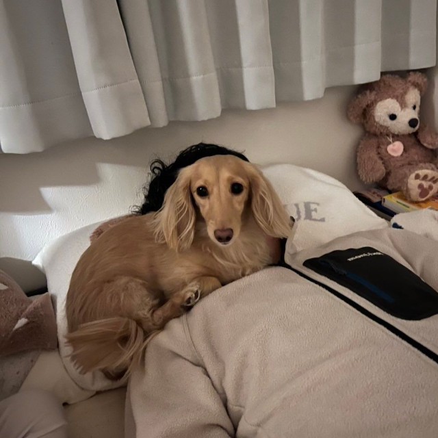 「昨晩のお手手ないない パパへの甘え方に容赦がない」というひと言とともに投稿された写真（画像提供：ちゃちゃさん）