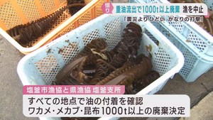 ワカメなど１０００トン以上廃棄へ　巡視船から流出した重油の影響　宮城・塩釜港