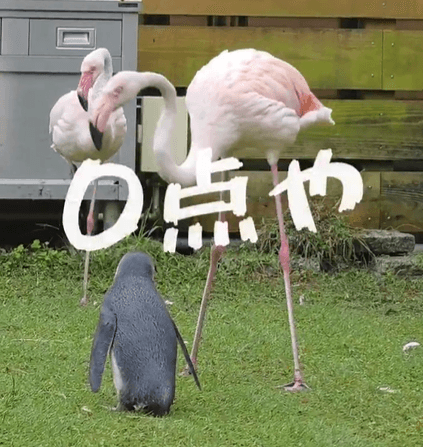 松尾くんに下されたジャッジはまさかの…（提供：劇団ペンターズ🐧イマイケルさん）