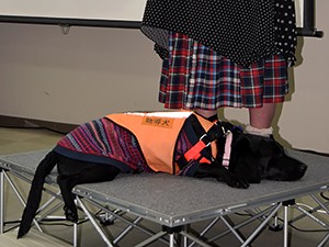 スマホが鳴ったら教えるワン！　聴導犬アーミとの歩みを紹介