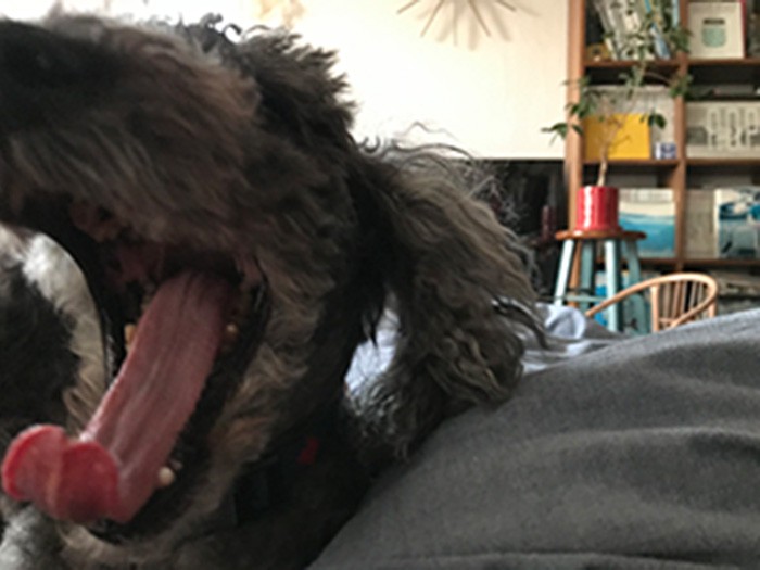 「もう朝ー？まだ寝てたいよー」