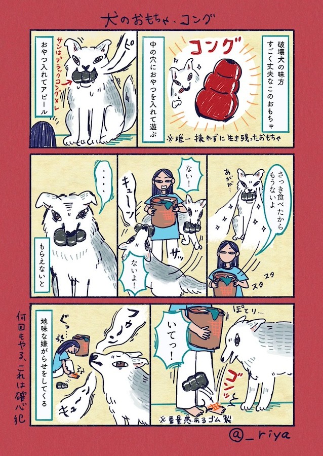 （漫画「デカい狼犬との日常」より／提供：riyaさん）