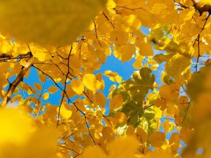 社会人は、自分の気持ちを偽るために演じる。それにちょっとうんざりした