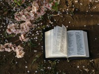 【厳選】信じていた彼の免許証の「秘密」、結婚半年で夫と友人の不倫が発覚…。3月に読まれたエッセイ