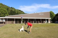 関西盲導犬協会の犬舎。約２０匹の候補犬たちが暮らしている（亀岡市曽我部町）