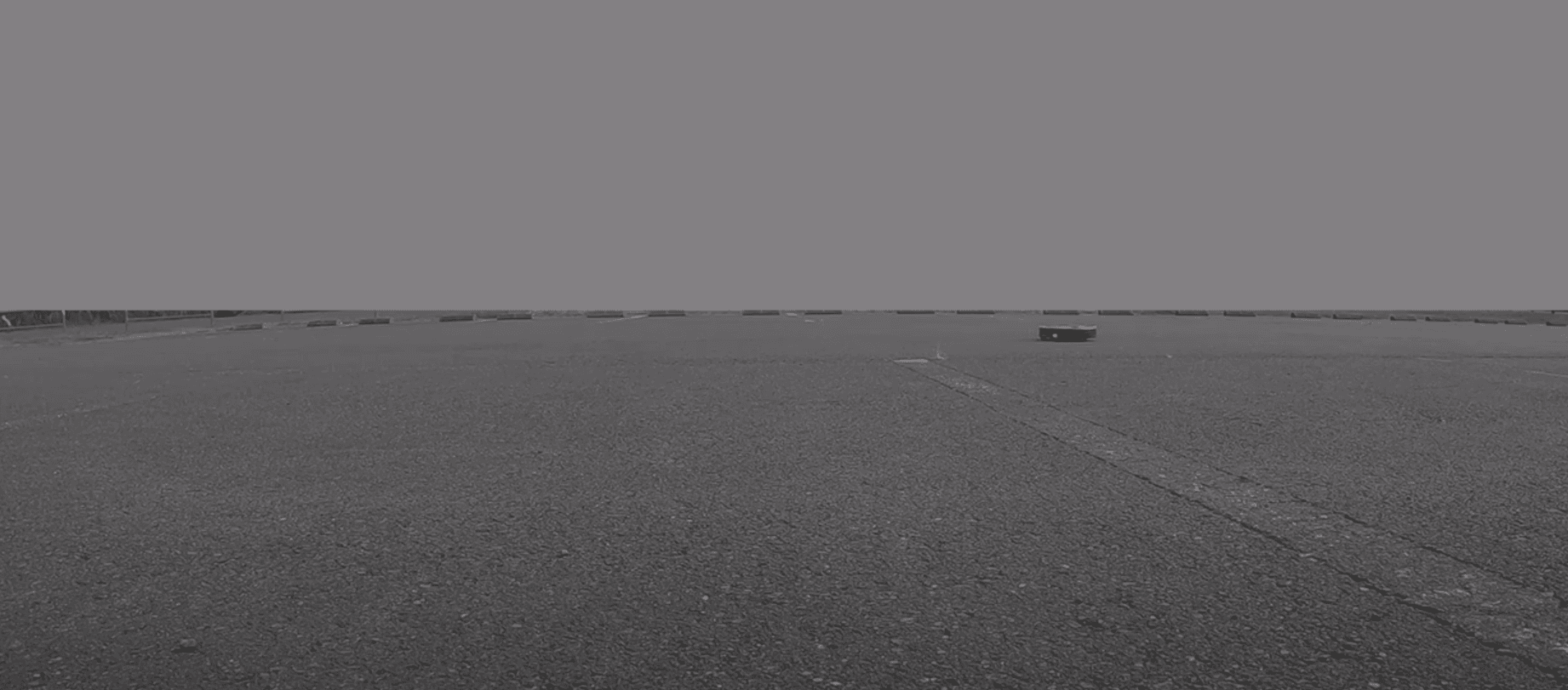 アスファルトを猛然と爆走するルンバ