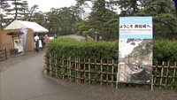 〈新型コロナ〉緊急事態宣言解除を受け　玉藻公園が約3週間ぶりの開園　高松市