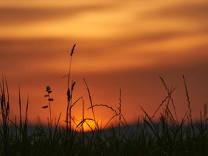 ようやく見つけた憧れの先輩が退職。思っていた以上に引きずっている