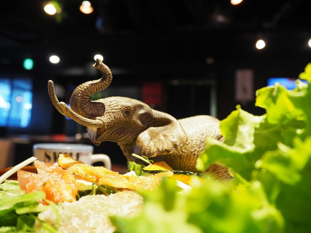 迫力あるゾウ！サラダ菜と一緒に撮ると、サファリ感が出るかな