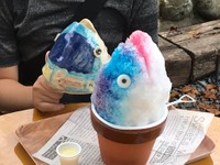 かき氷のヒントになった、小学生が陶芸で作った「カツオ」（奥）（藤枝市陶芸センター提供）