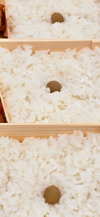 お弁当には欠かせない白ごはん。価格が下がったからOKではなく、もっと米にまつわる問題に向き合う必要があります（提供）