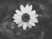 これから1人の女しか抱けない男になるあなたに、最強で最低な呪いを