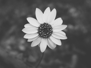 これから1人の女しか抱けない男になるあなたに、最強で最低な呪いを