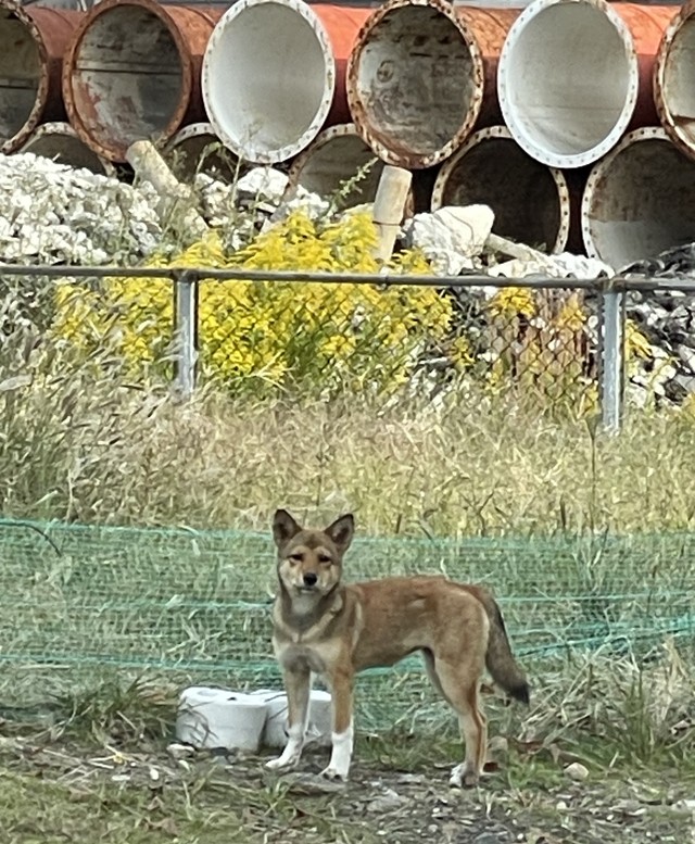 ある会社の敷地内で両親と暮らしていた頃（写真提供＝エクアルライフ）