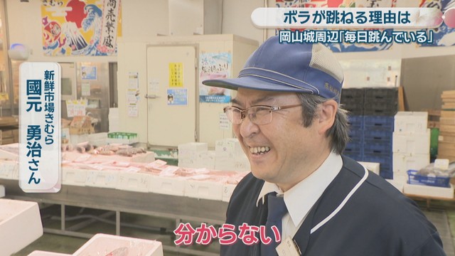 新鮮市場きむら／國元勇治さん