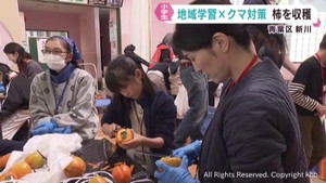 地域学習とクマ対策　小学生親子が参加「柿の収穫＆干し柿」体験イベント