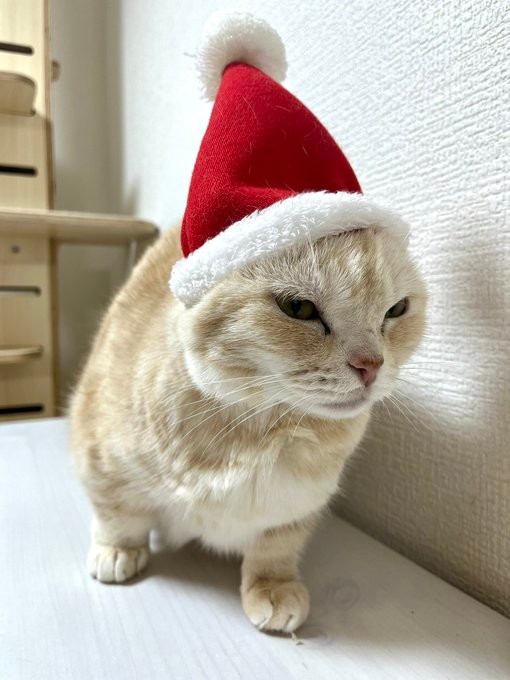 虚無PART2＝さくらとかえで（@marshallizm9）提供