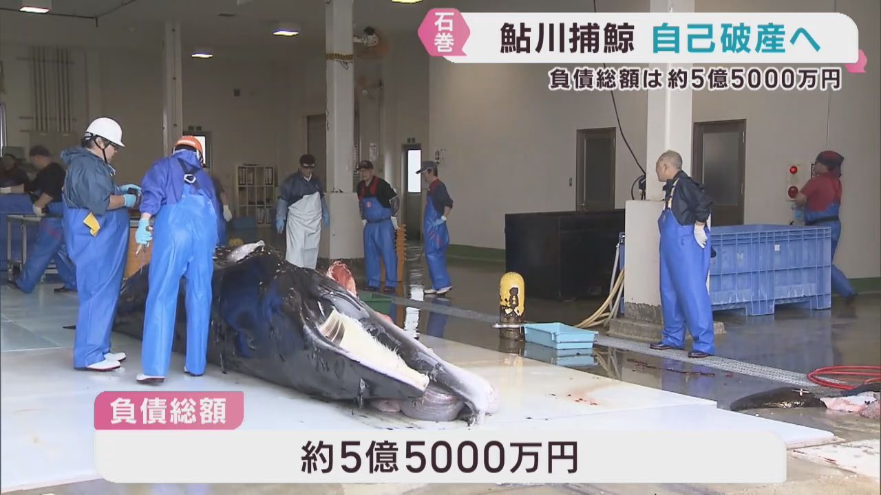 捕鯨船操業の鮎川捕鯨（宮城・石巻市）が自己破産へ　負債総額約５億５０００万円