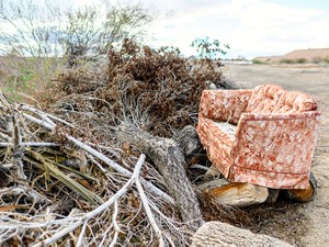 国境の住民が頭を痛める、「トランプ氏の壁」より深刻な問題