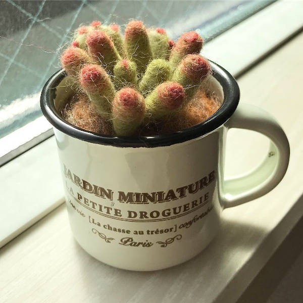 サボテンもフェルトで。オシャレ