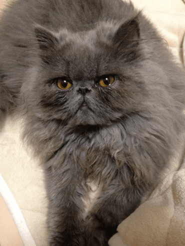 病気の発覚後には、もっとできることがあったのではないかと自分を責めたことも