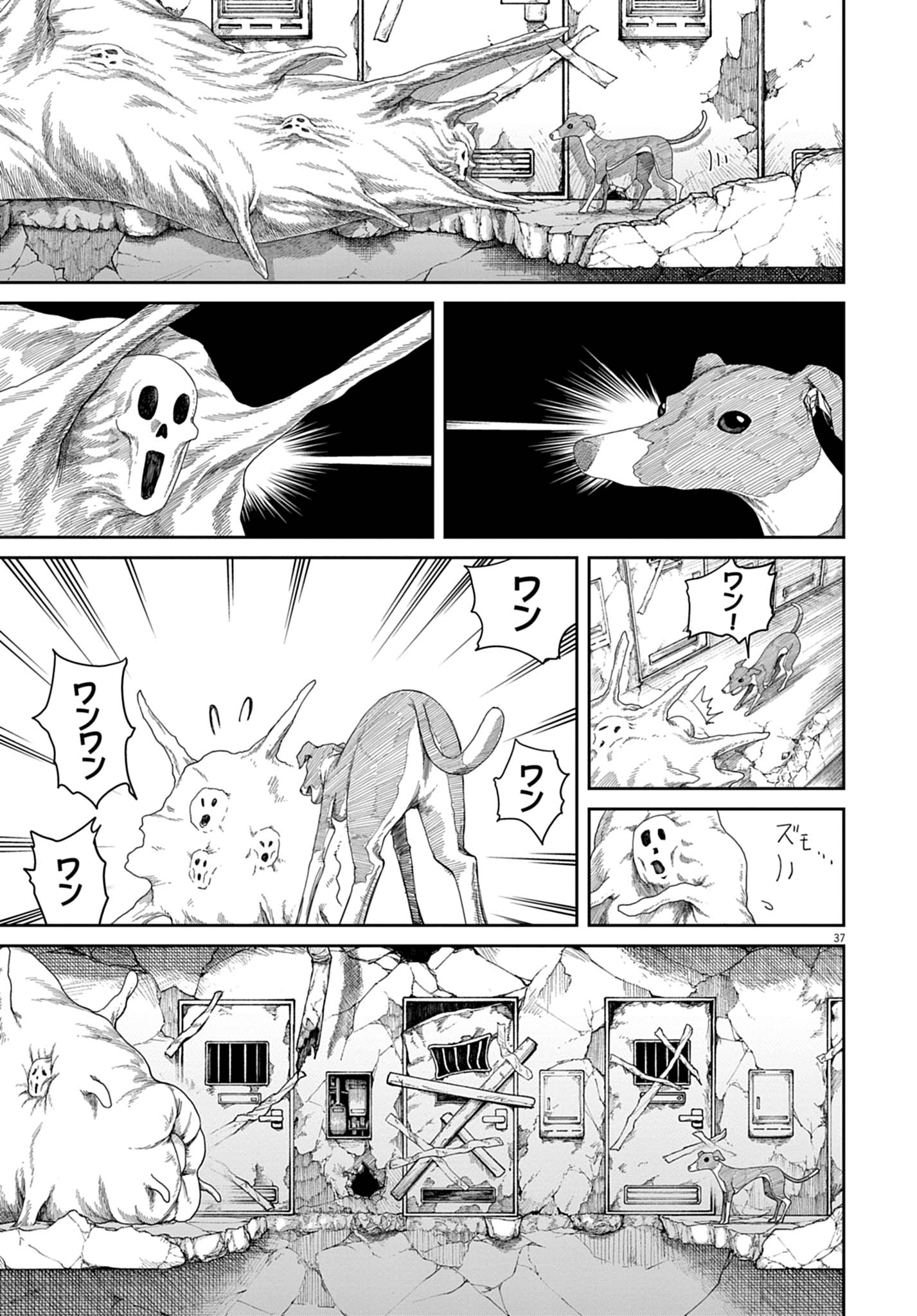 【漫画】『999号室』36©南賀なん/小学館