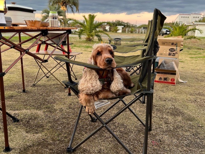 ごはんまだですか～