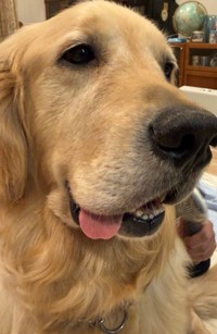 大反響にご満悦のサボくん